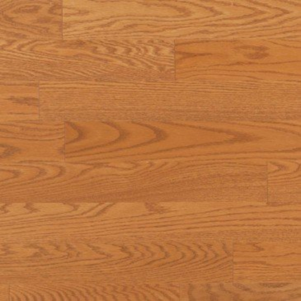 Golden Red Oak