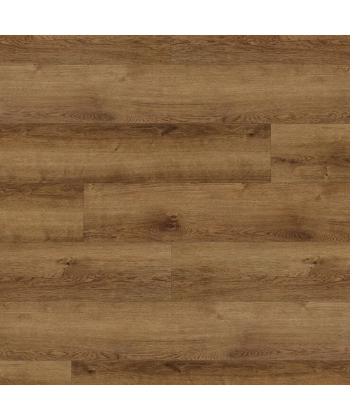 Monterey Oak